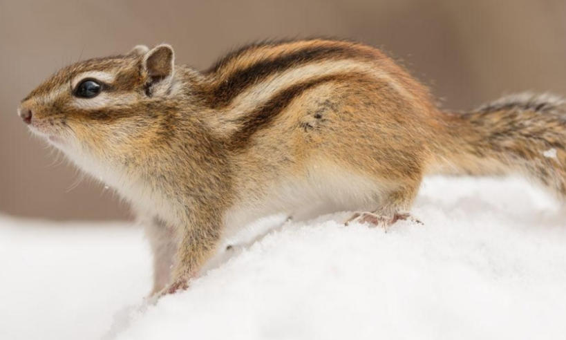 浙江华乐电子有限公司轮播图3