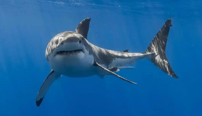 浙江华乐电子有限公司轮播图3