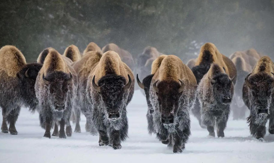 浙江华乐电子有限公司轮播图4